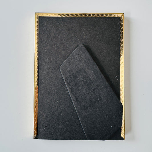 Portrait of a Droid : Gonk Gonk