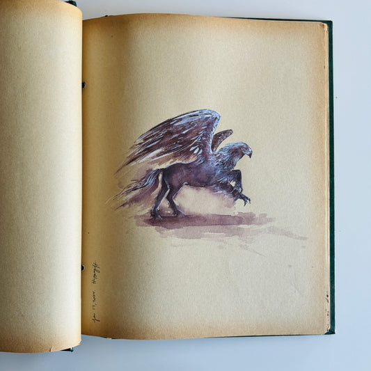 Muggle sketchbook : Study No.5 Hippogriff, original watercolour