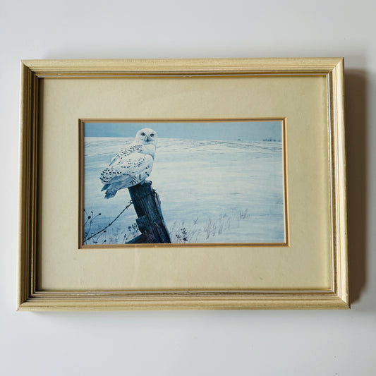 Owlery No.4 - Vintage Print