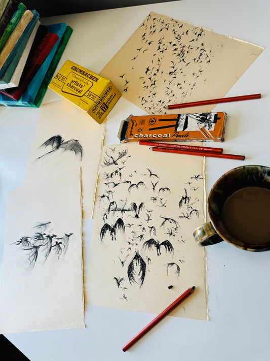 Dragon No.8 - study, charcoal on paper=