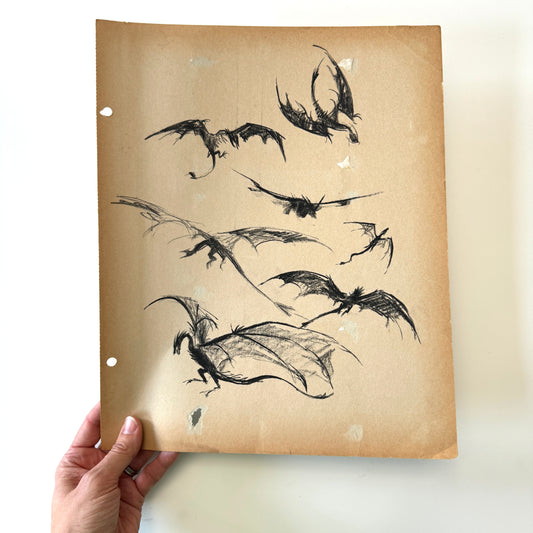 Dragons - study, charcoal on paper
