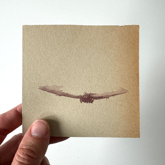 Dragon No.1 & No.2 - study, watercolour on paper