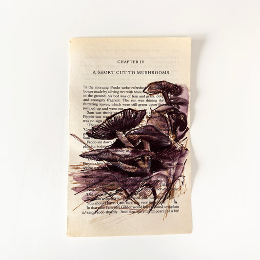 Hobbity Bookish Studies : Mushrooms, study in ink on p113