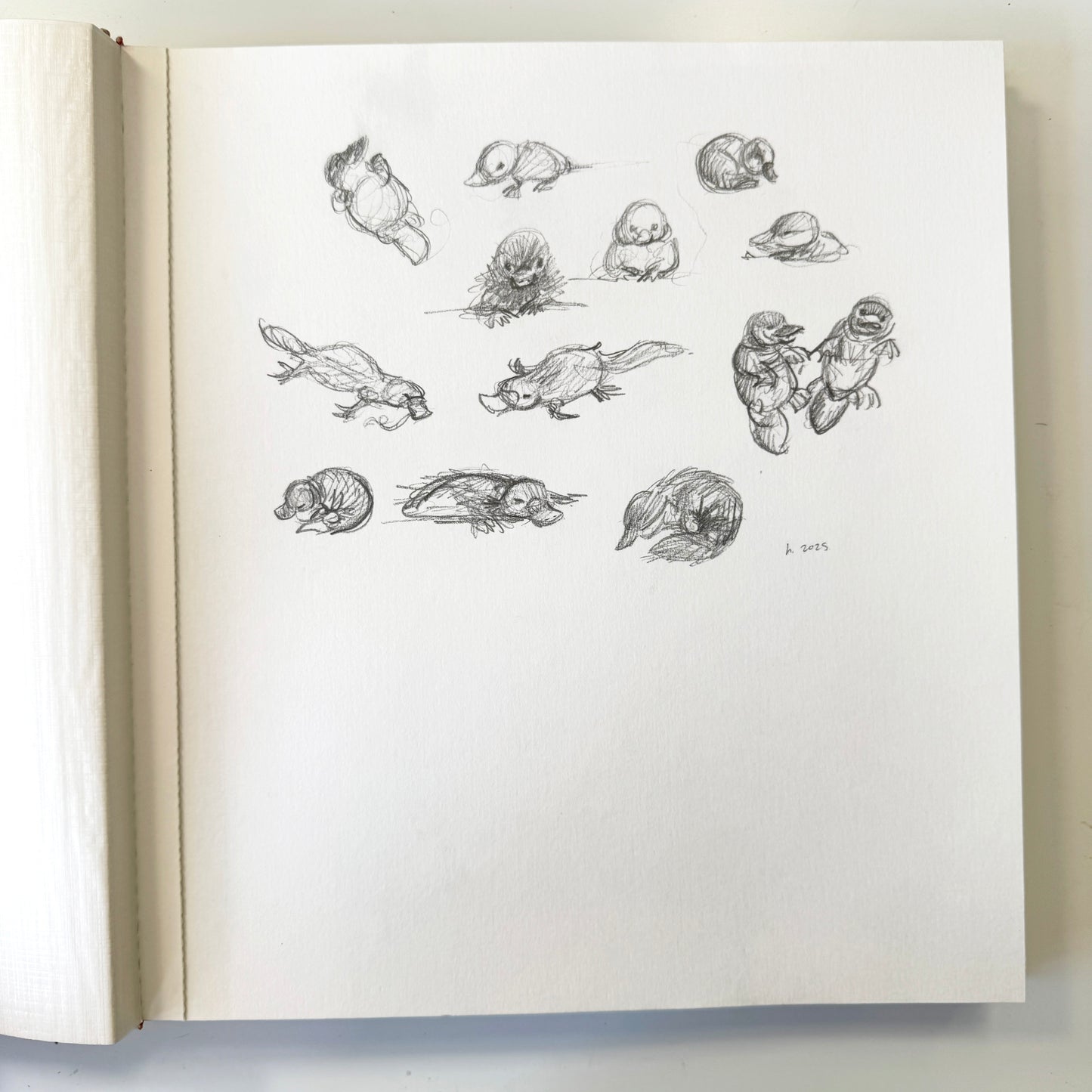 Little Bandits Study No.1 - original pencil study