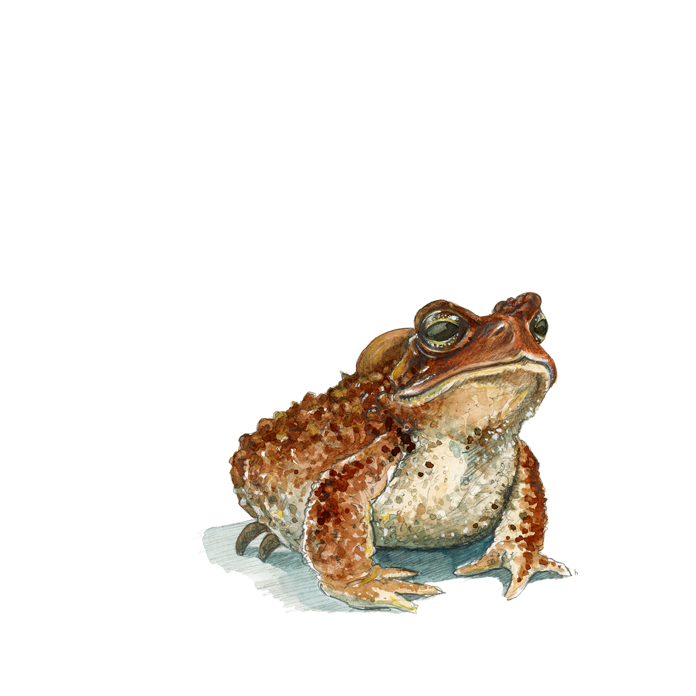 Has Anyone Seen Trevor? - DIGITAL DOWNLOAD