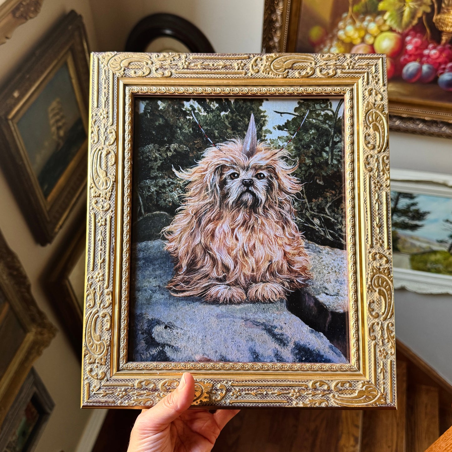 Alfa-177 Canine - PRINT 8x10 in gold frame