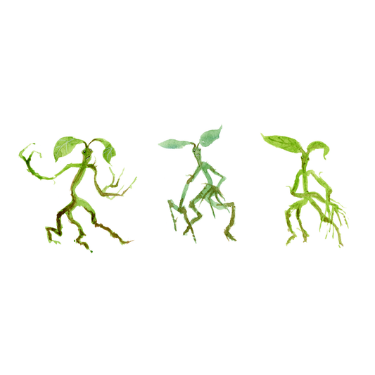 Little Green Men, muggle study in watercolour - DIGITAL DOWNLOAD bundle