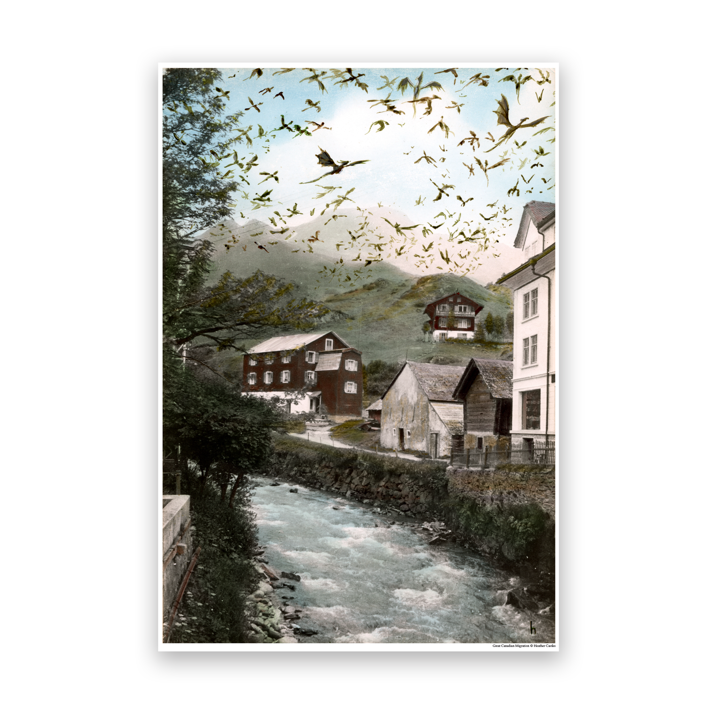 Great Canadian Migration - DIGITAL DOWNLOAD