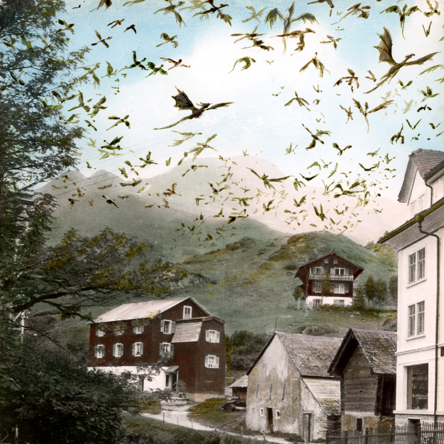 Great Canadian Migration - DIGITAL DOWNLOAD