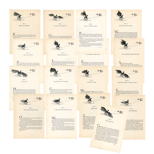 Colt Studies - DIGITAL DOWNLOAD Bundle