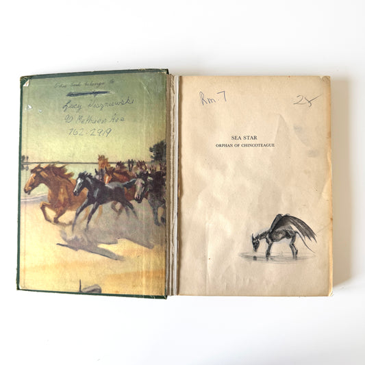 Colt study No.1 : Titlepage 1, paint on paper