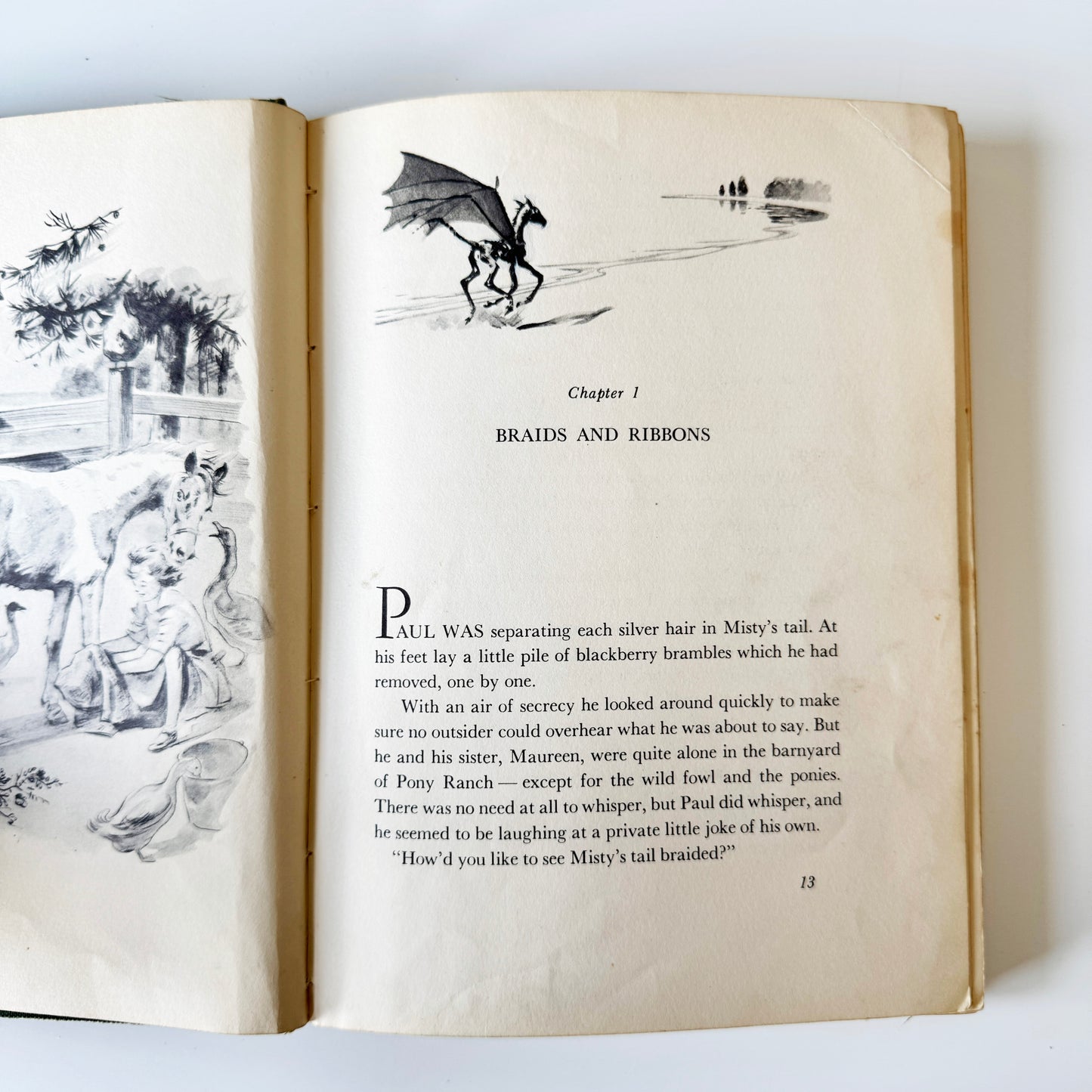 Colt study No.4 : p13, paint on paper