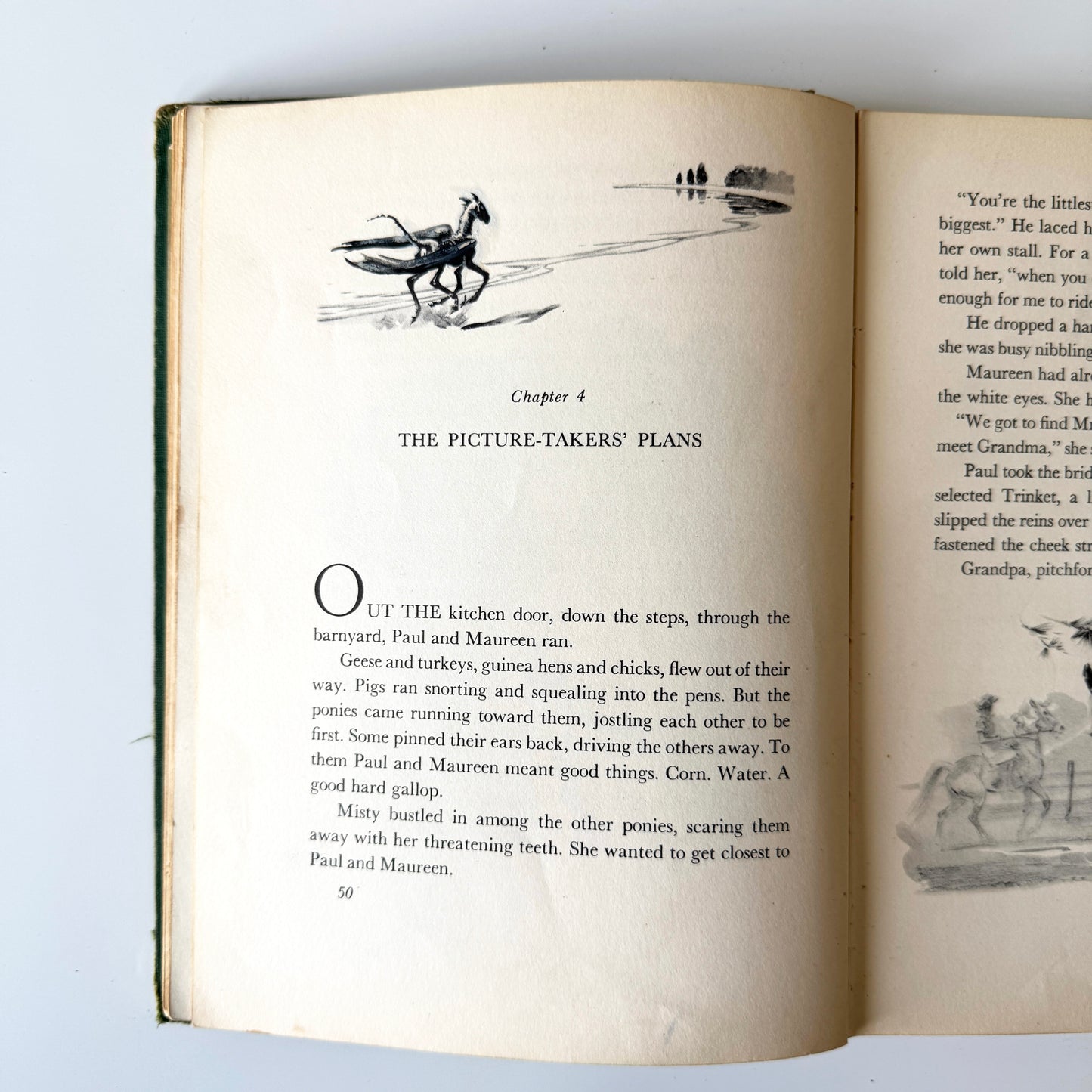 Colt study No.7 : p50, paint on paper