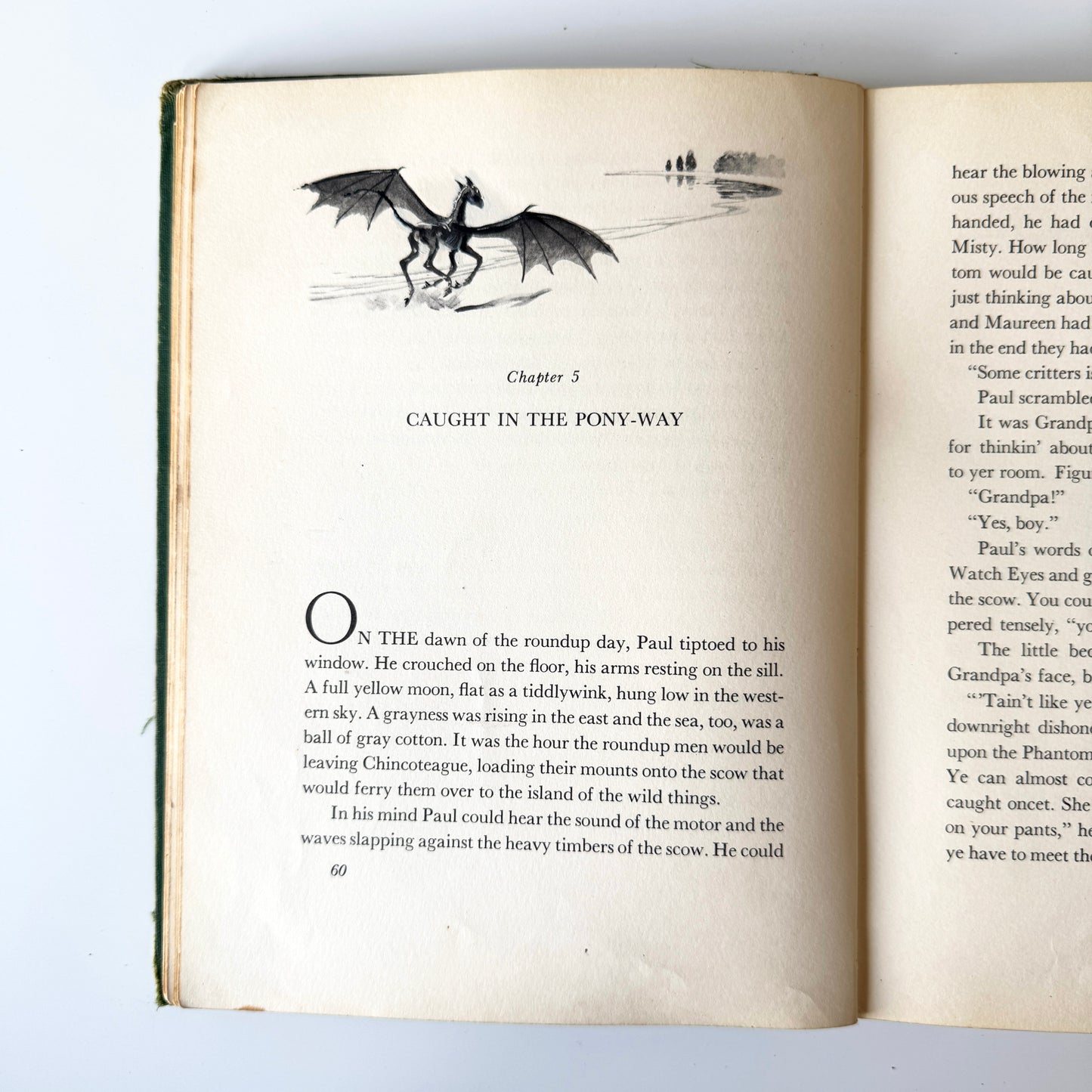 Colt study No.8 : p60, paint on paper