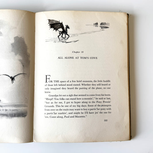 Colt study No.13 : p102-103, paint on paper