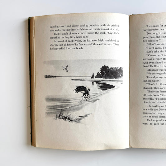 Colt study No.14 : Beach 1 & 2, paint on paper