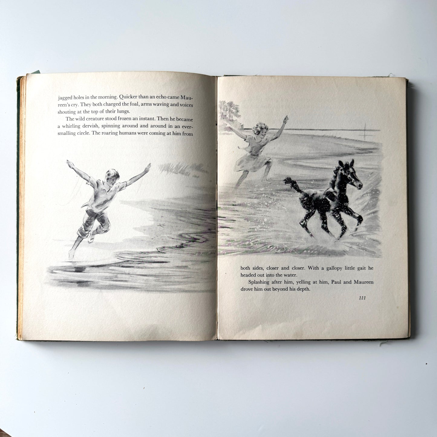 Colt study No.15 : pg110, paint on paper