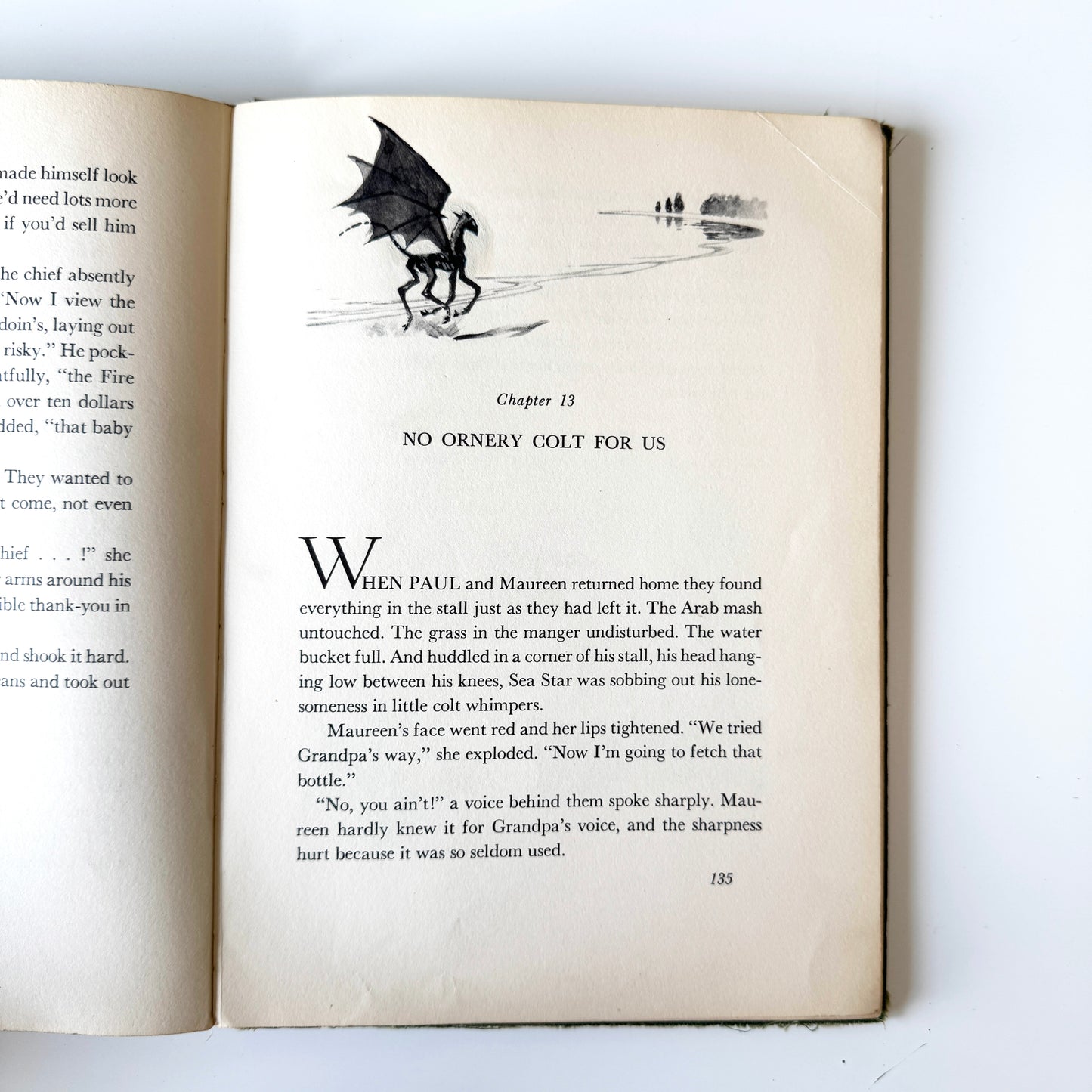 Colt study No.18 : pg135, paint on paper