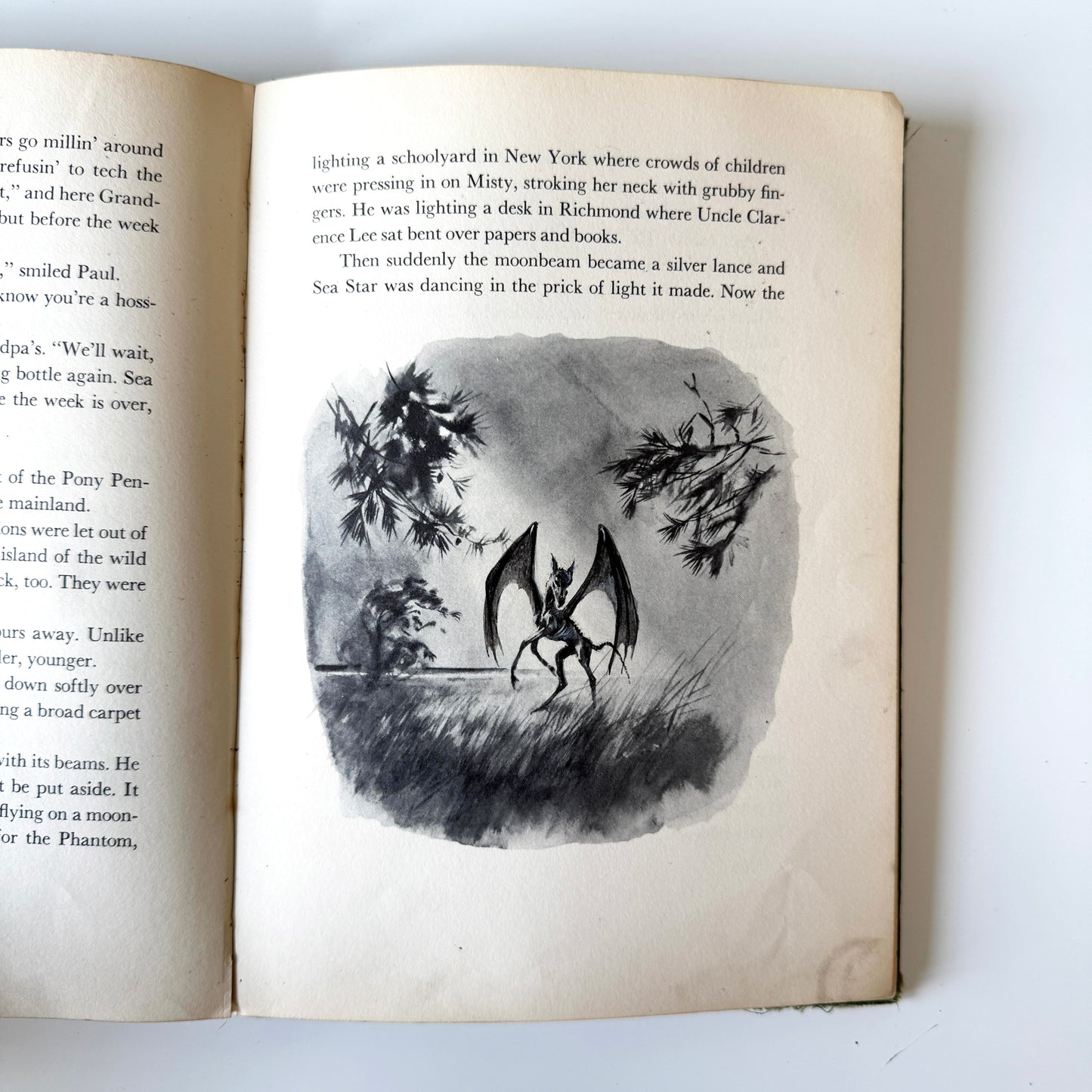 Colt study No.19 : pg139, paint on paper