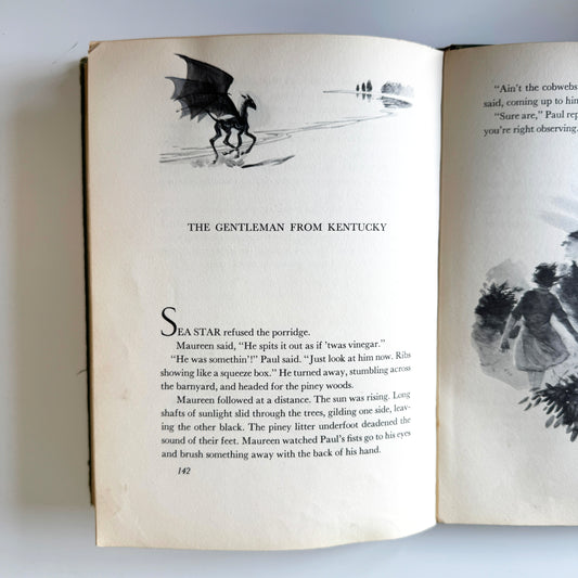 Colt study No.20 : pg142, paint on paper