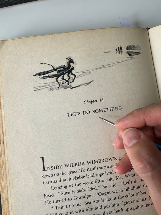 Colt study No.22 : pg160, paint on paper