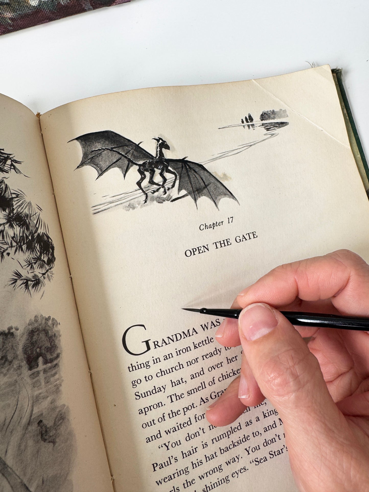 Colt study No.23 : pg167, paint on paper