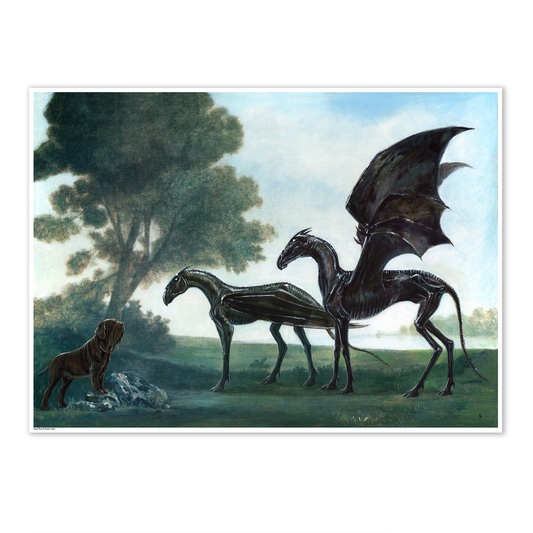 Dog & Pony Show - DIGITAL DOWNLOAD