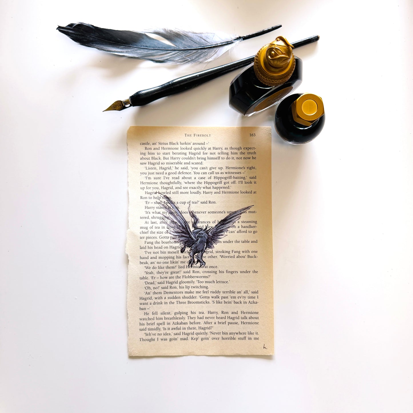 Specimen Studies : Hippogriff, study in ink on p163