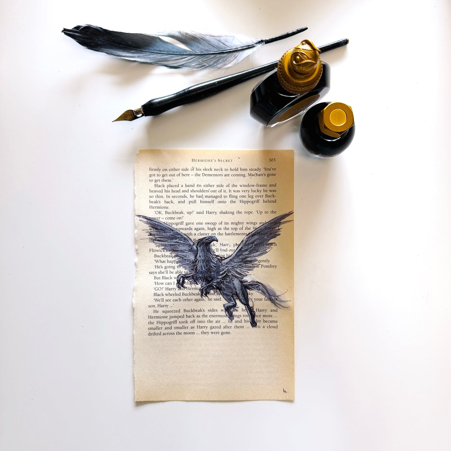 Specimen Studies : Hippogriff, study in ink on p303