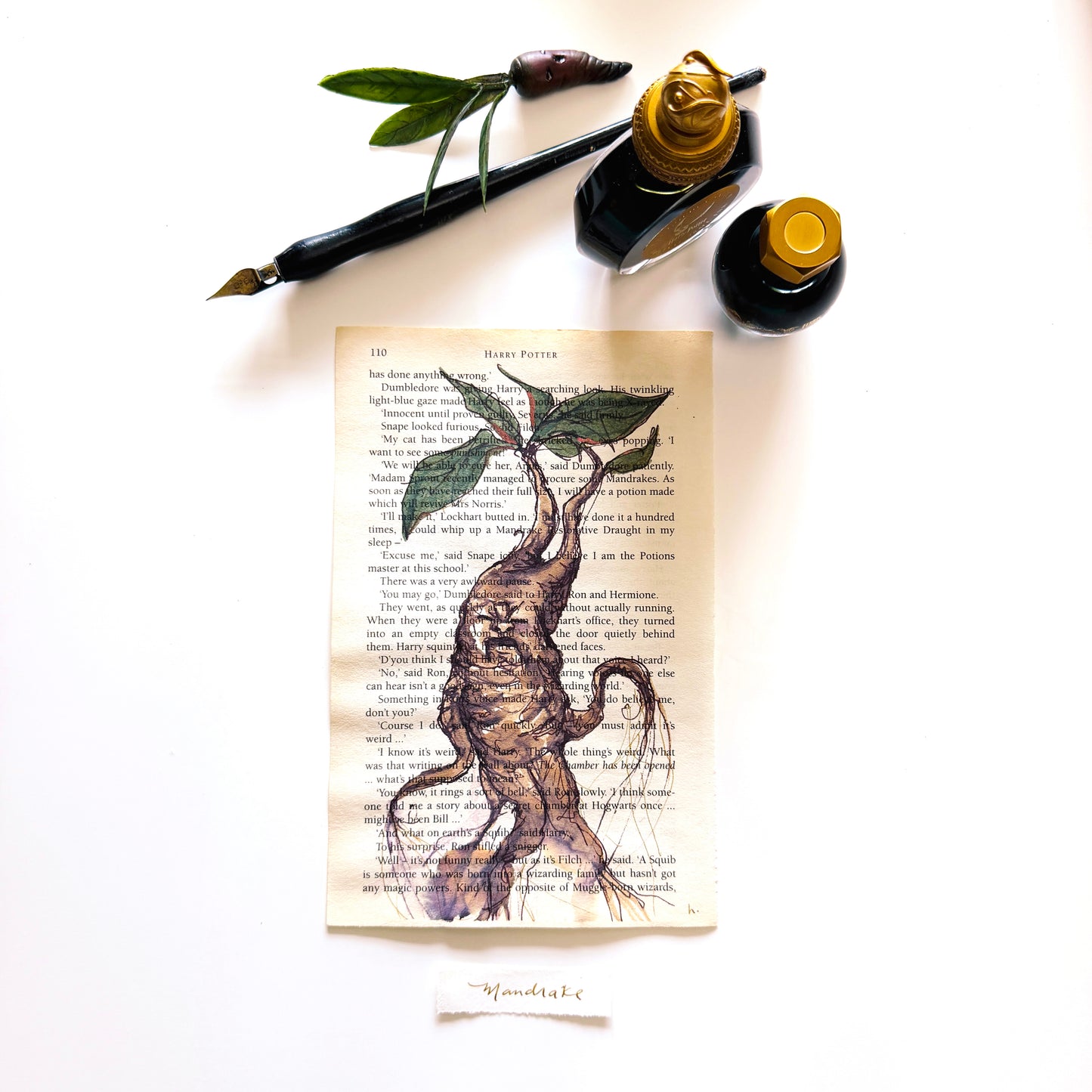 Specimen Studies : Mandrake, study in ink on p110