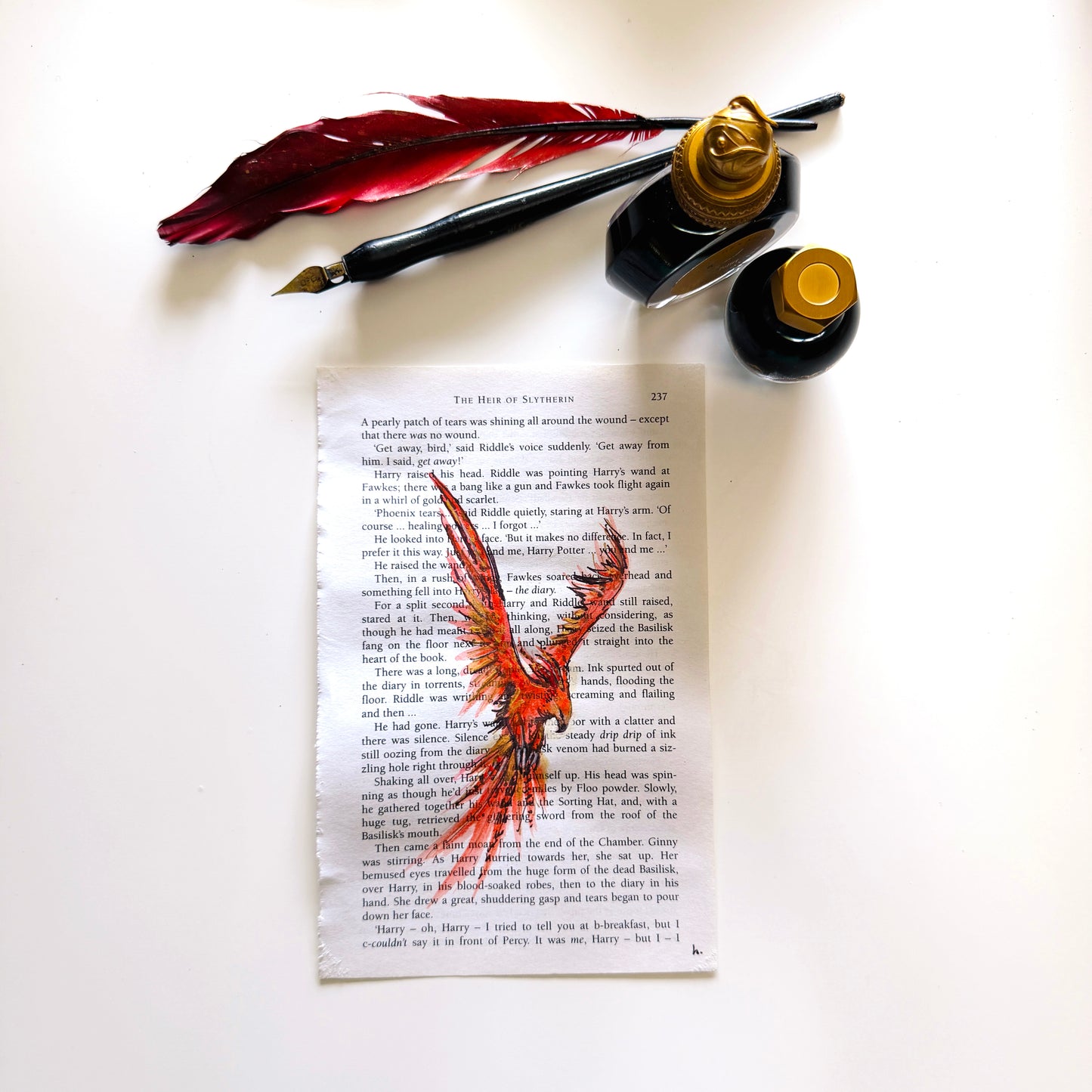 Specimen Studies : Phoenix, study in ink on p237