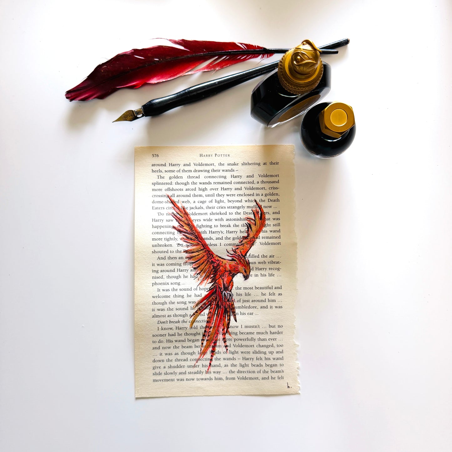 Specimen Studies : Phoenix, study in ink on p576
