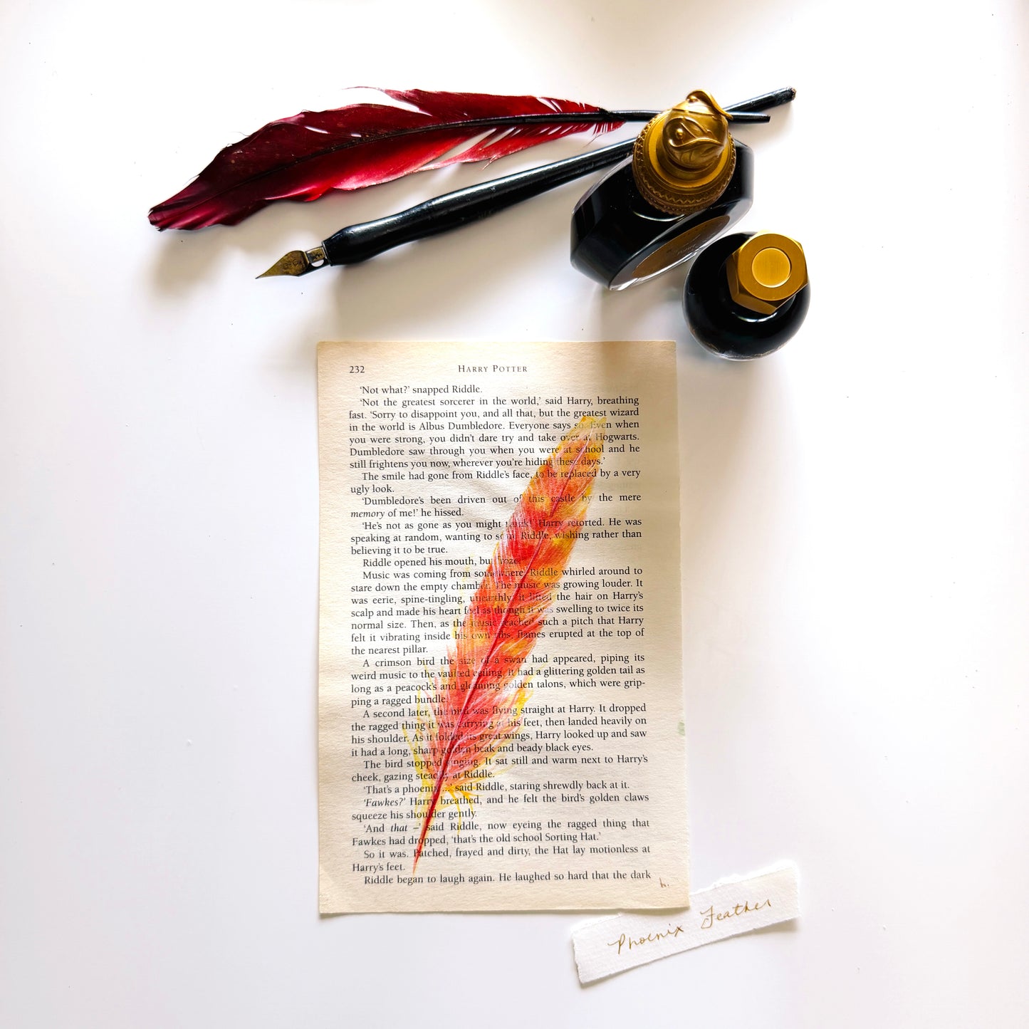Specimen Studies : Phoenix Feather, study in ink on p232