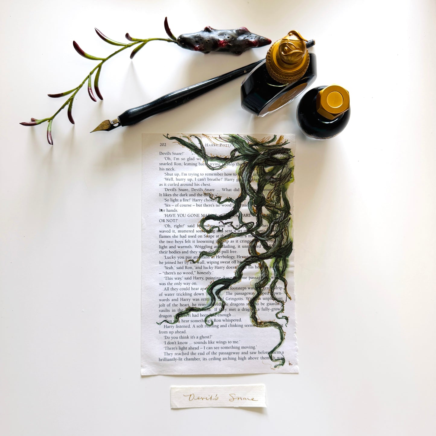 Specimen Studies : Snare, study in ink on p202