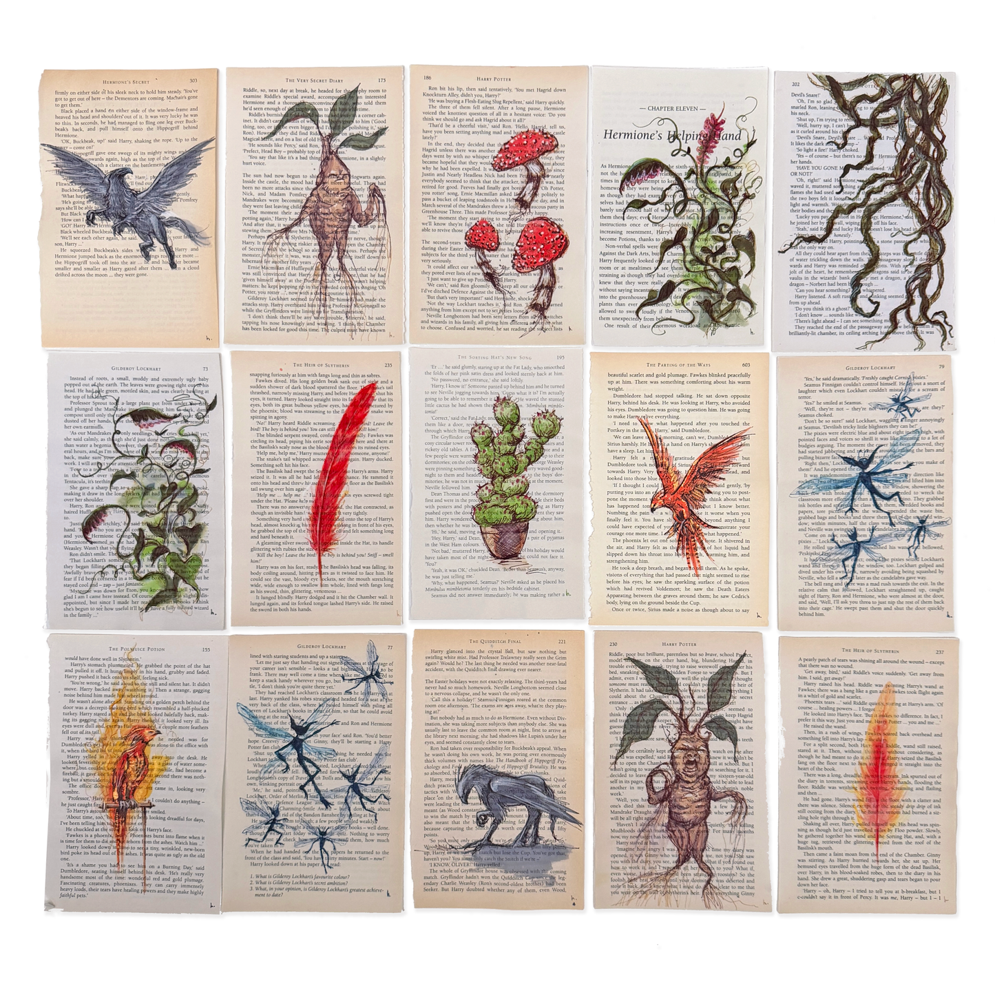 Specimen Observations Vol.1 - Set of 16 PRINTS