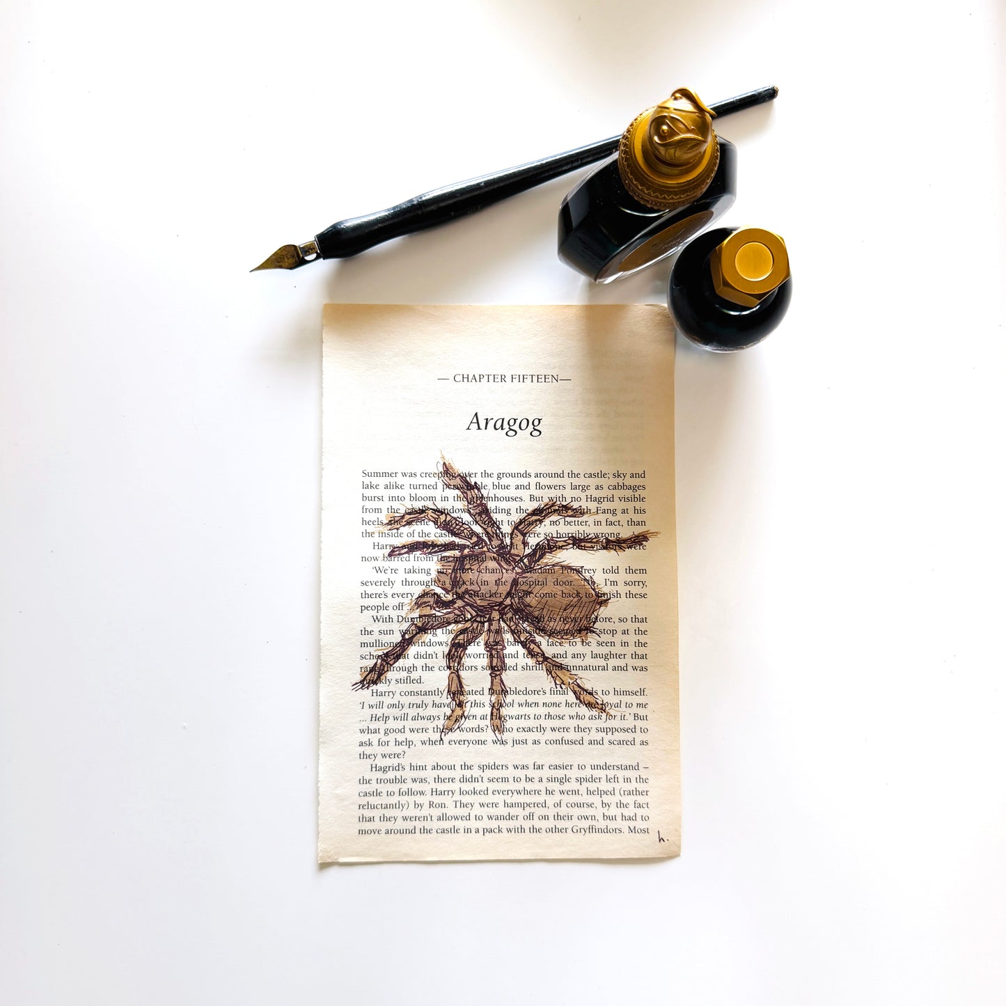 Specimen Studies : Spider, study in ink on chp15