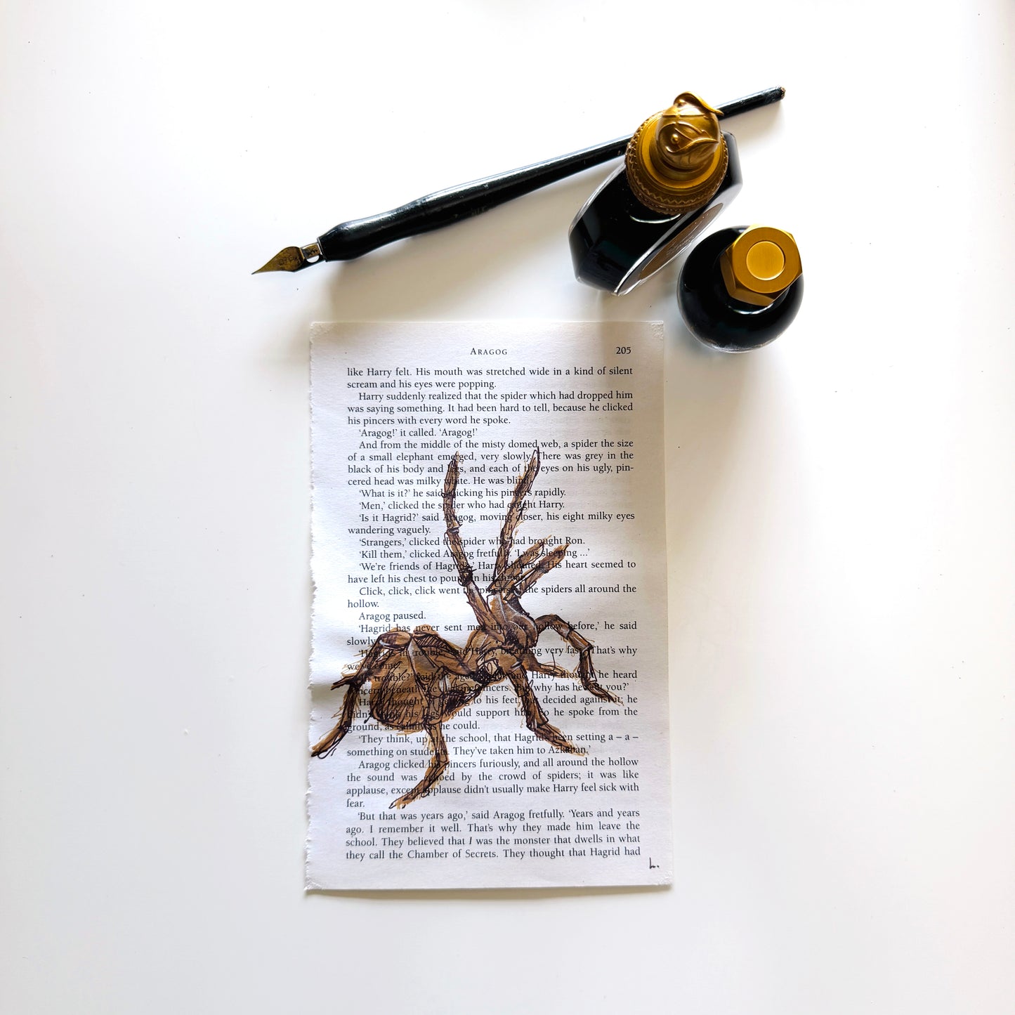Specimen Studies : Spider, study in ink on p205b