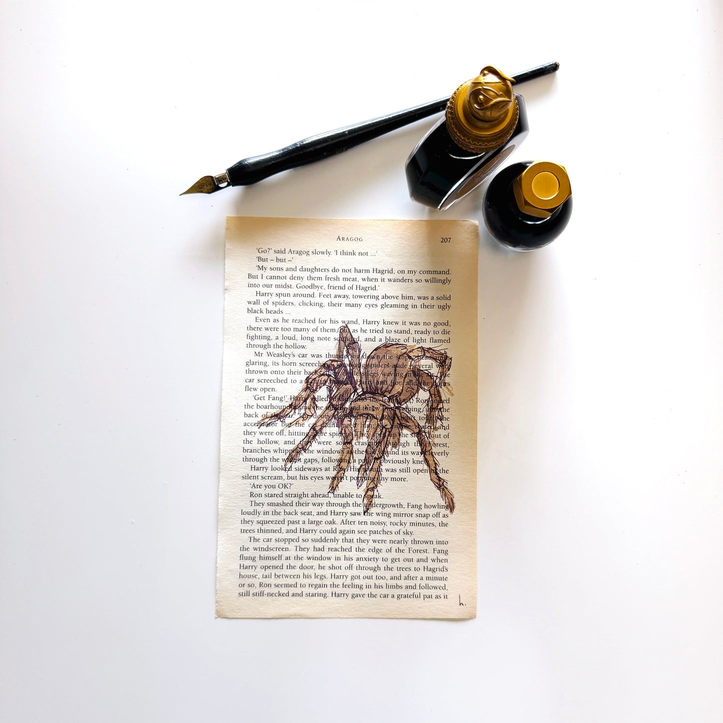 Specimen Studies : Spider, study in ink on p207