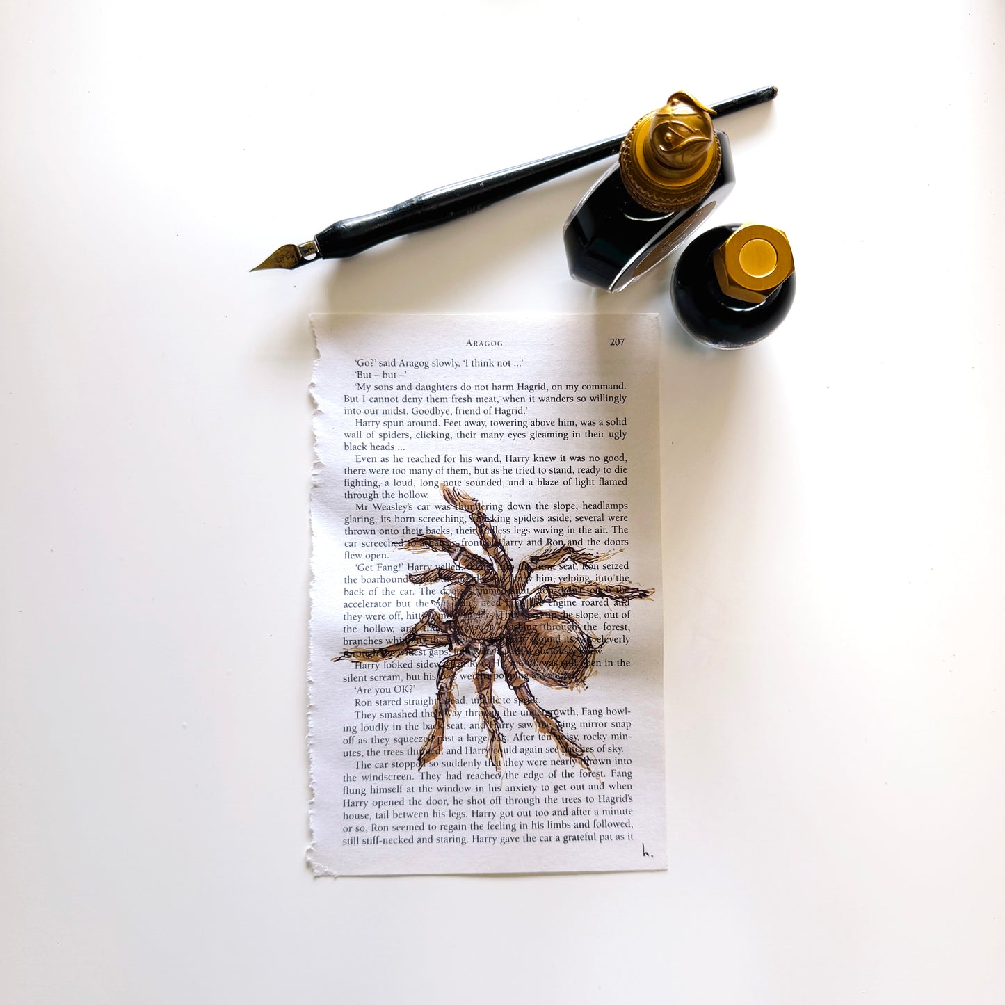 Specimen Studies : Spider, study in ink on p207b