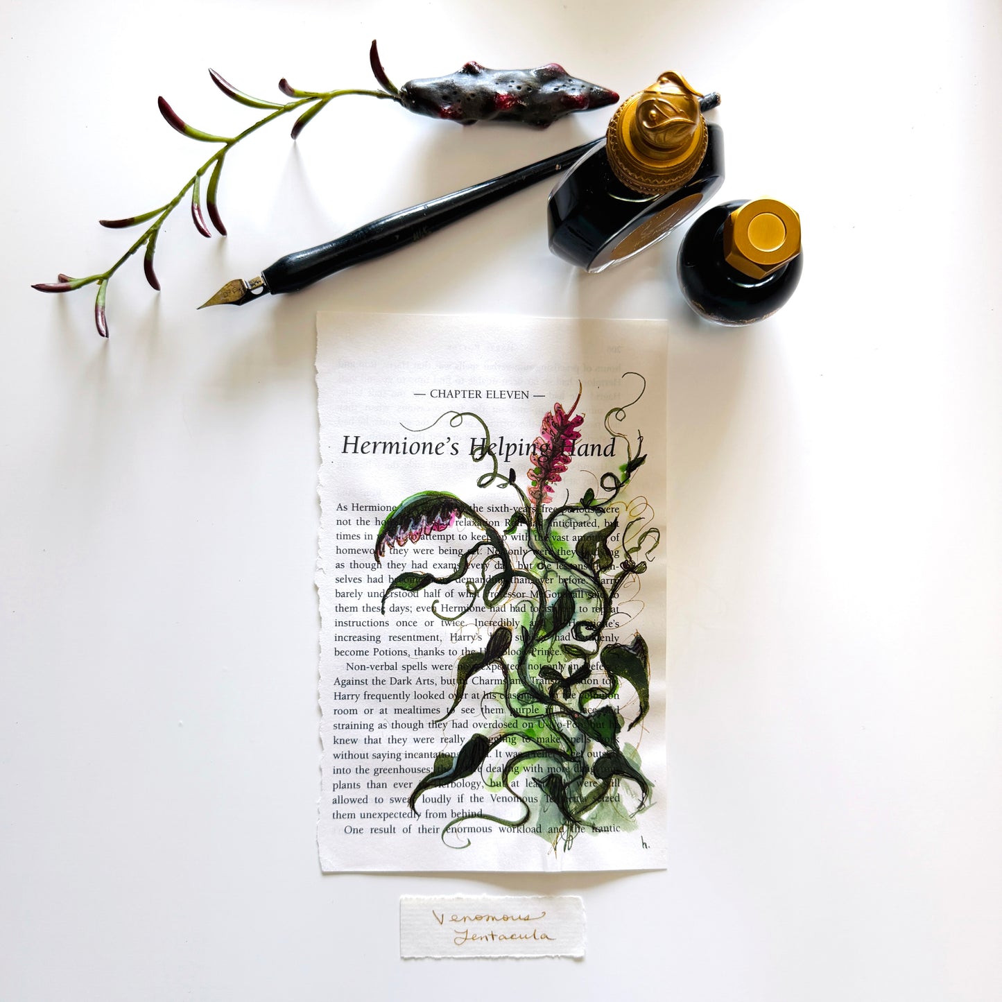 Specimen Studies : Tentacle, study in ink on chp11