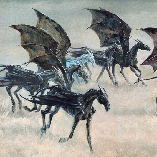 I Can See Them, Too - DIGITAL DOWNLOAD