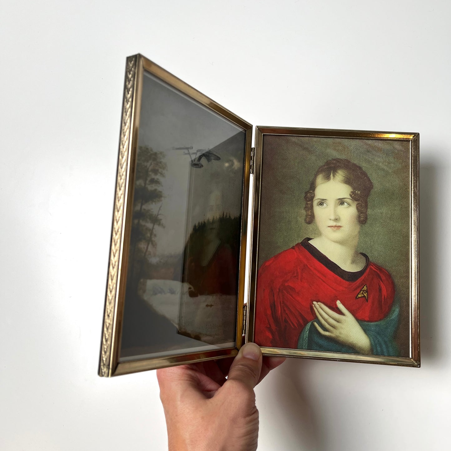 Boldly Go & Red Shirt Ensign Bonaparte - PRINT in Reclaimed Folding Portrait Frame, metal