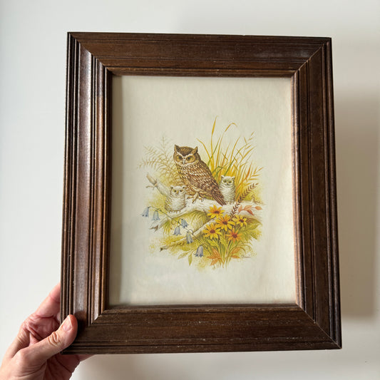 Owlery No.1 - Vintage Print