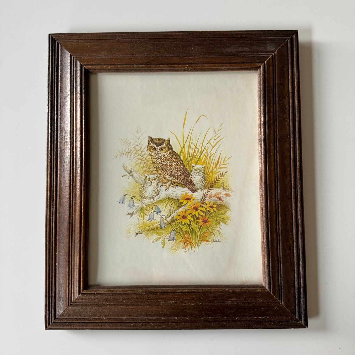 Owlery No.1 - Vintage Print