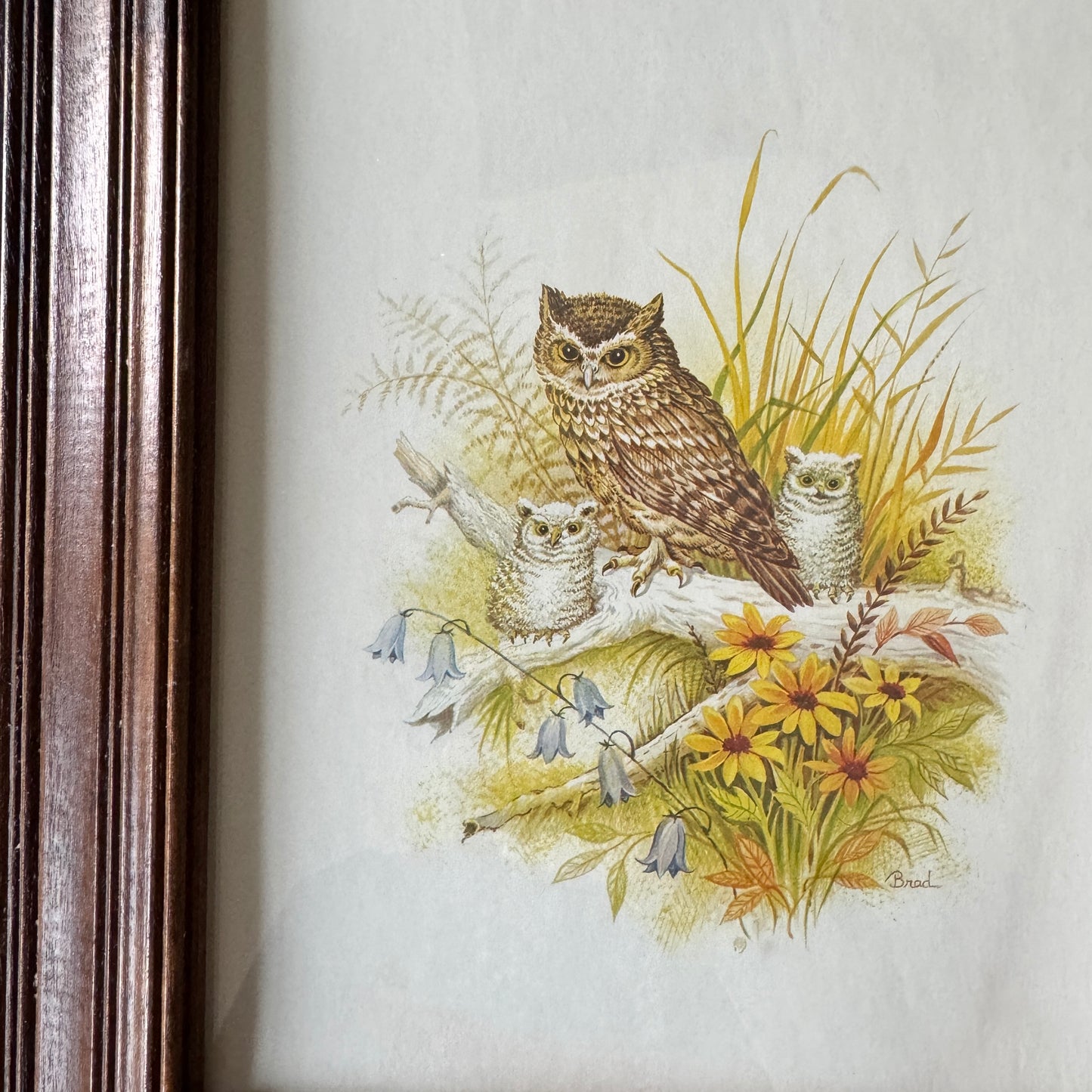 Owlery No.1 - Vintage Print