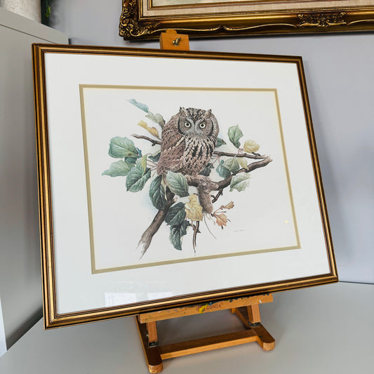 Owlery No.5 - Vintage Print