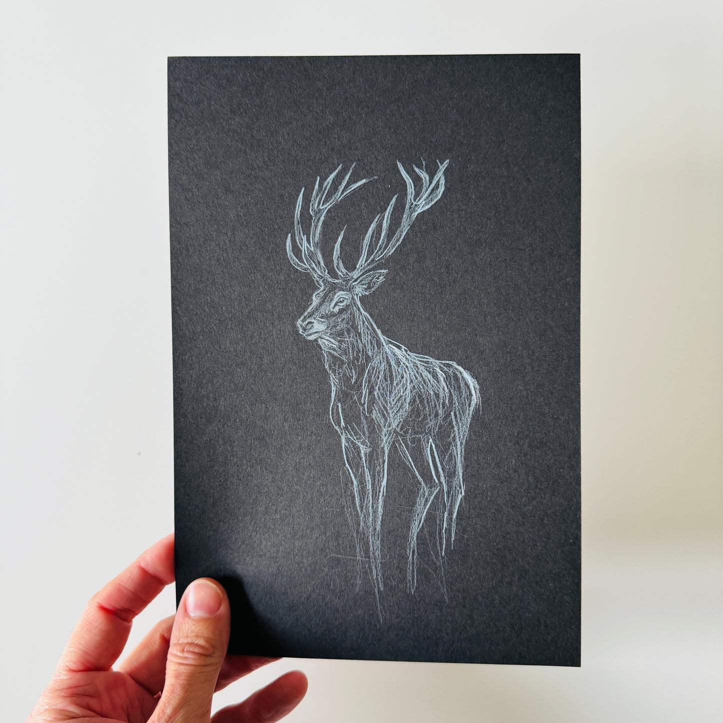 The Stag No. 2 - pencil study