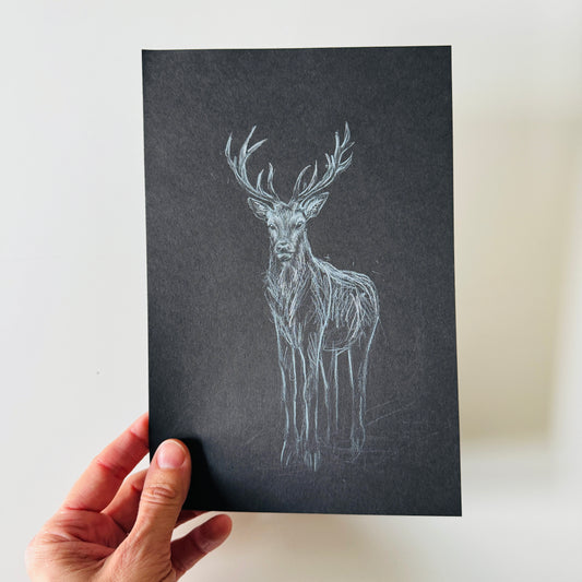 The Stag No. 1 - pencil study
