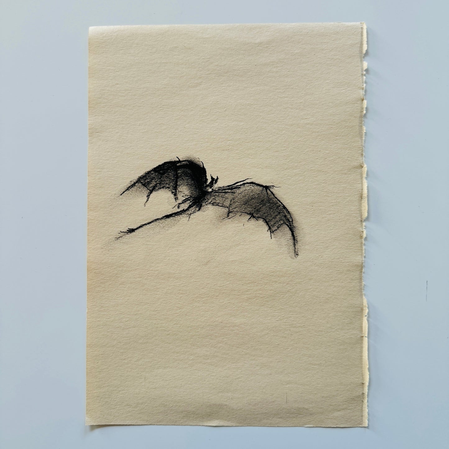 Dragon No.9 study, charcoal on paper