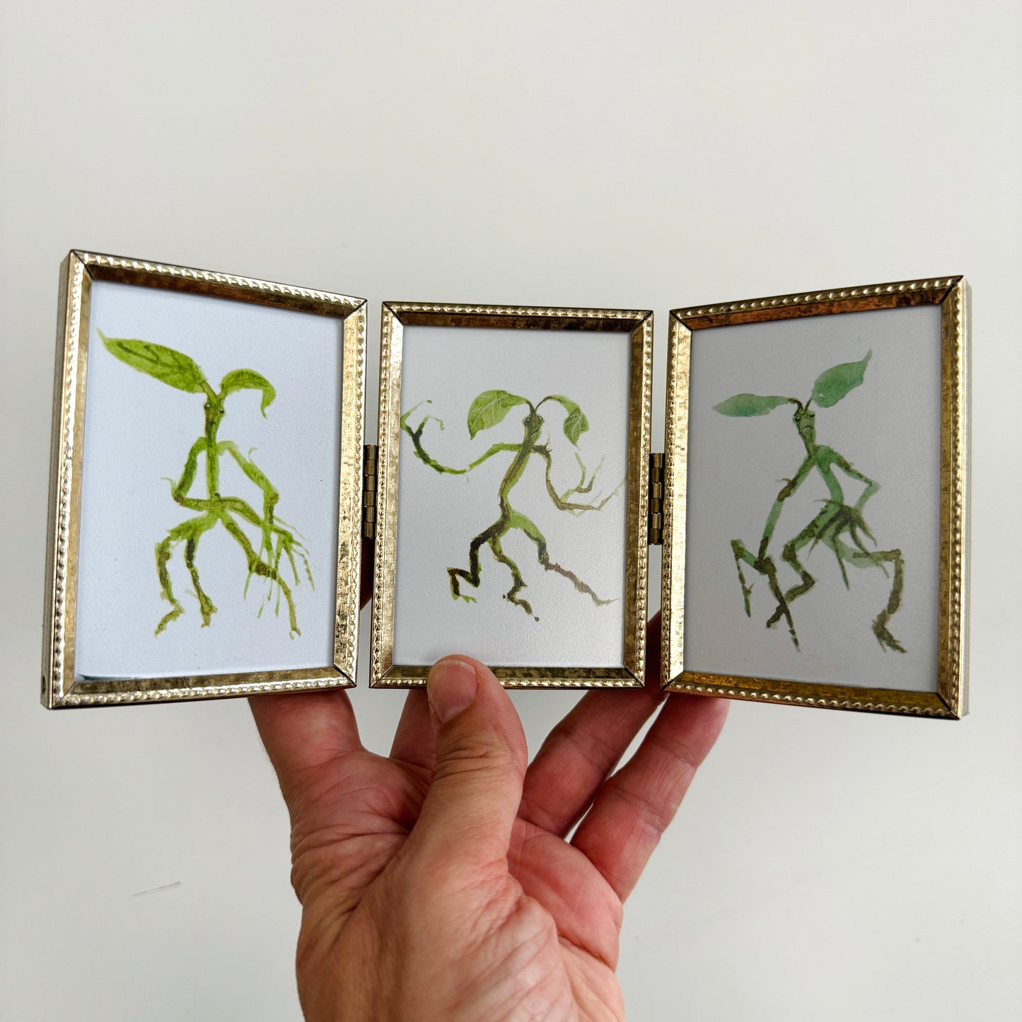 Bowtruckle Trio - PRINTs in portrait frame